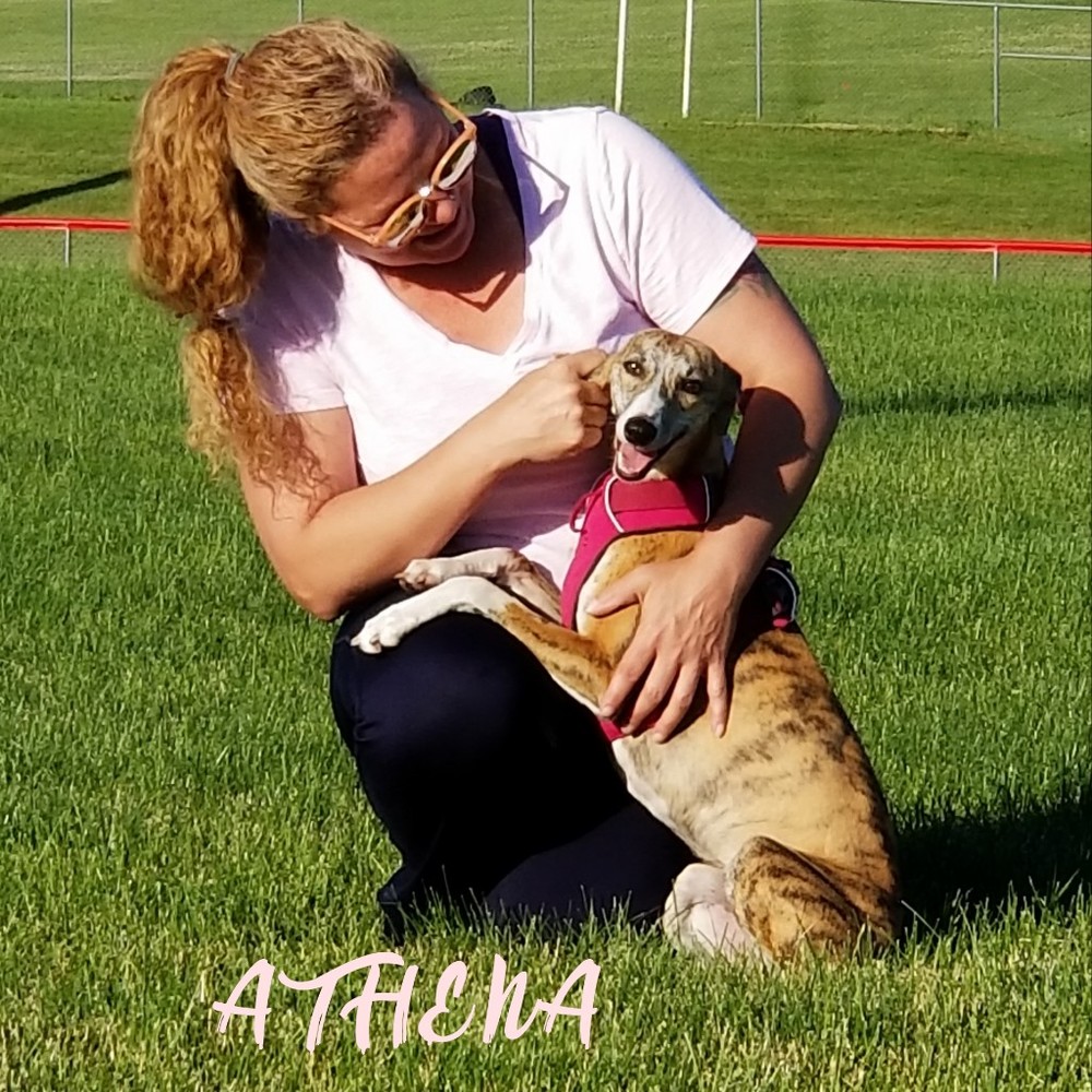 Meet your Posher, Elizabeth